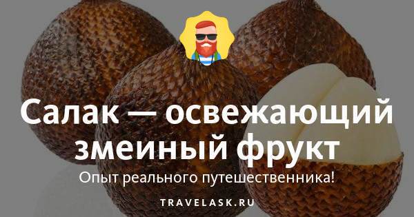Как должен выглядеть змеиный фрукт