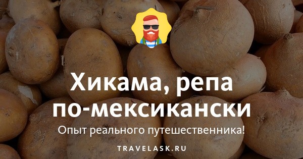 Хикама (пахиризус): фото, полезные свойства, происхождение, что приготовить