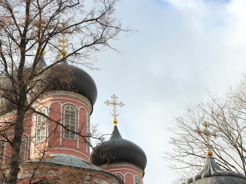 Старый собор Донского монастыря