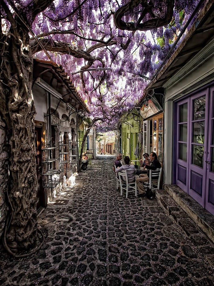 15 самых волшебных улиц мира, укрывшихся в тени цветов и деревьев 
