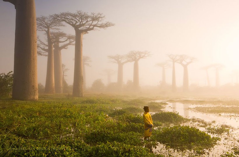 20 cамых шедевральных снимков National Geographic, которые взорвали интернет 