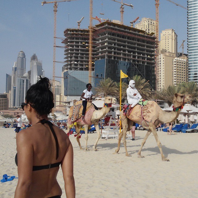 29 очень странных снимков из Дубая, которые нам не понять
