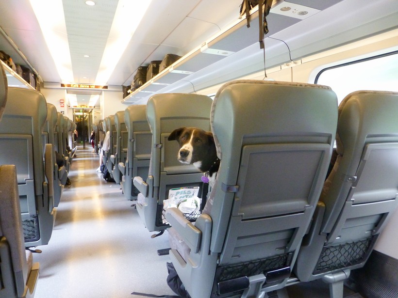 8 удивительных услуг, доступных путешествующим на поезде, о которых ты не знал