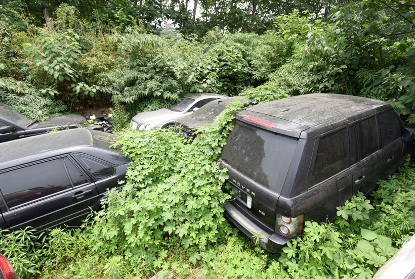 11 фото с заброшенной парковки в Китае с автомобилями на миллионы долларов