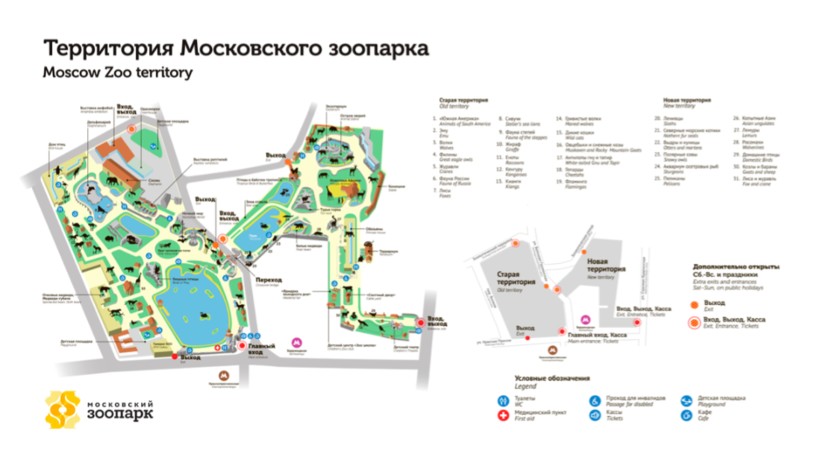 Реферат: Путешествие по Московскому зоопарку