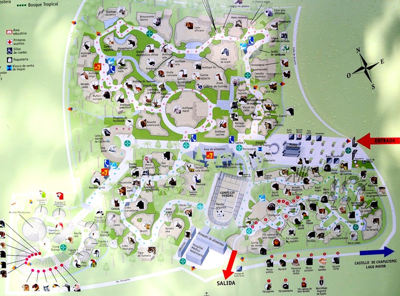 Карта зоопарка Чапультепек