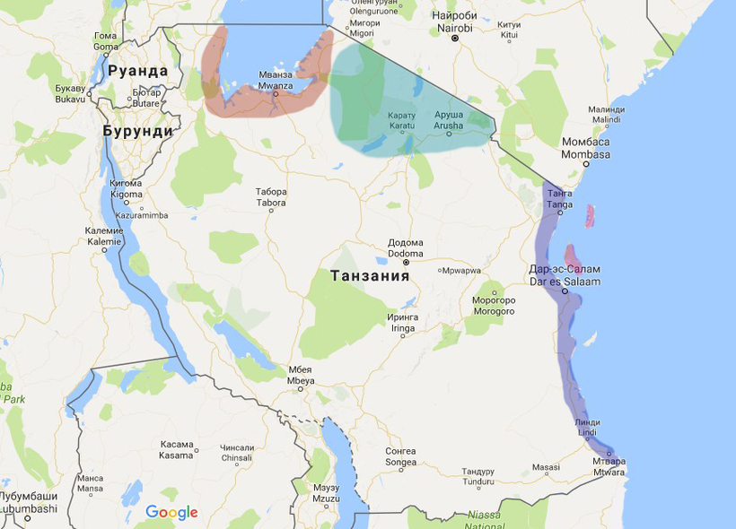 Какие проекты есть у россии в танзании