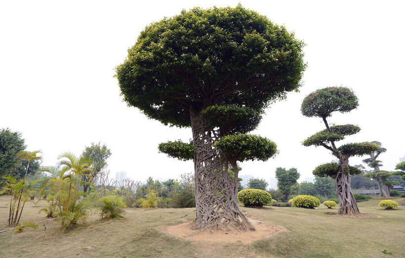 This Photographer's Instagram Changed Our Minds About Topiaries Topiary garden,