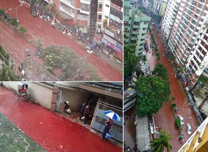 Кровавые реки прямо на улицах города: как отмечают праздник жертвоприношений в Дакке