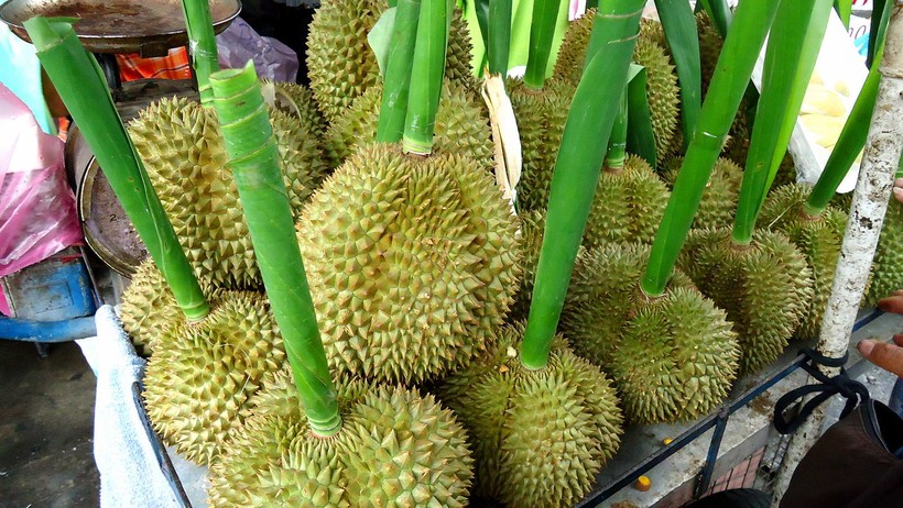 Дуриан - самый вонючий фрукт на Бали весной