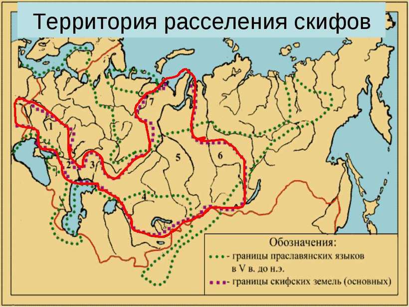 Географическое расположение племени скифы