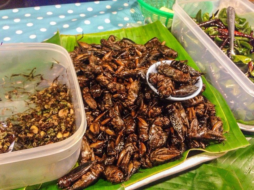 Съедобные насекомые на Пхукете, октябрь 2017