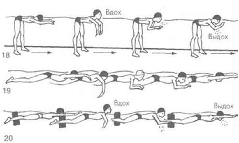Как научиться плавать самостоятельно видео. Как научиться плавать самостоятельно видео. Техники плавания по лягушачьи. Стиль плавания по собачьи. Техника плавания баттерфляем пошагово.