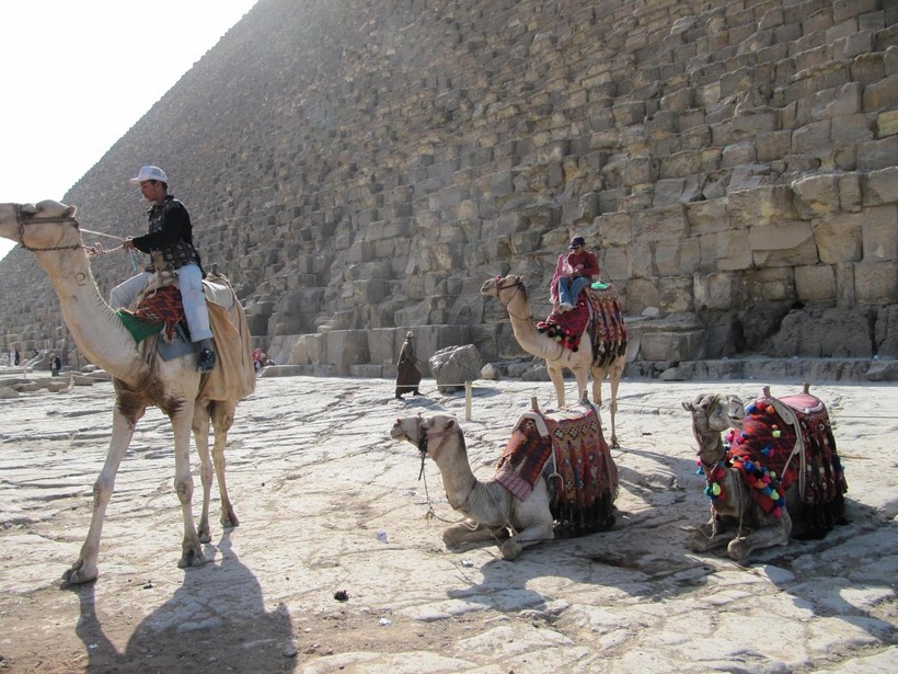 Возле пирамид можно покататься на верблюде