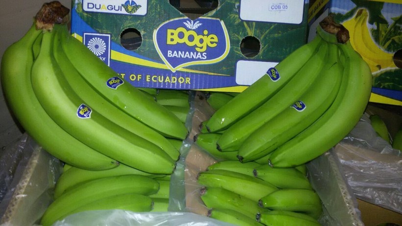 Газационная камера: бананы привозят зелеными и обрабатывают перед продажей 