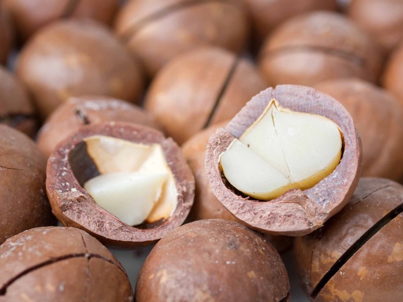 Макадамия — самый дорогой орех в мире и, пожалуй, самый вкусный