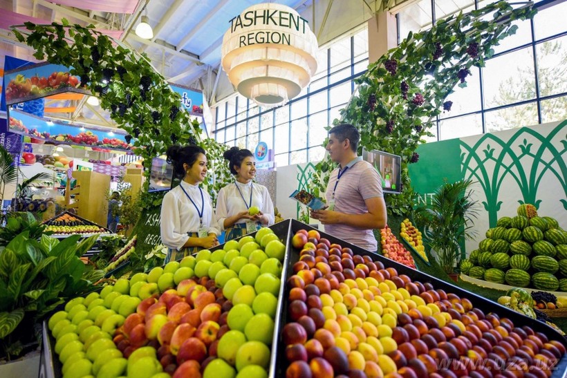 Фрукты, овощи и ягоды в Узбекистане - отзывы реальных туристов 2024