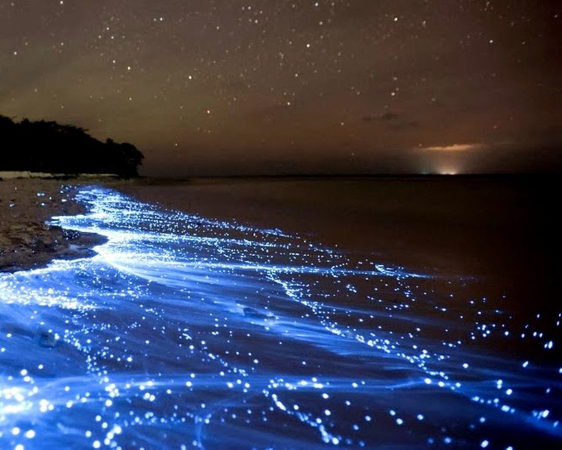 Звездное море, Мальдивы