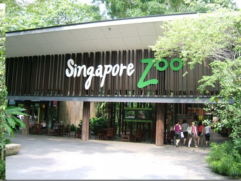Сингапур: я собралась в зоопарк