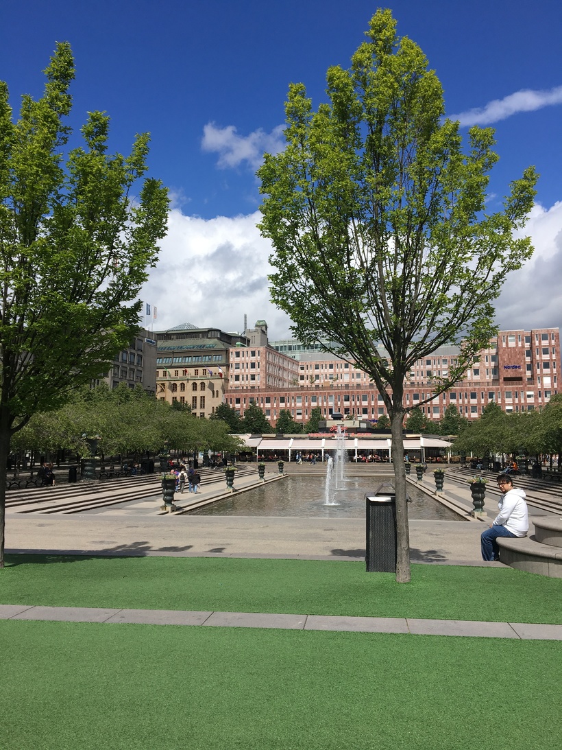 Стокгольм хага парк. Стокгольм парки. Королевский сад стокгольм. Стокгольм парки. Швеция парк хёгельби.