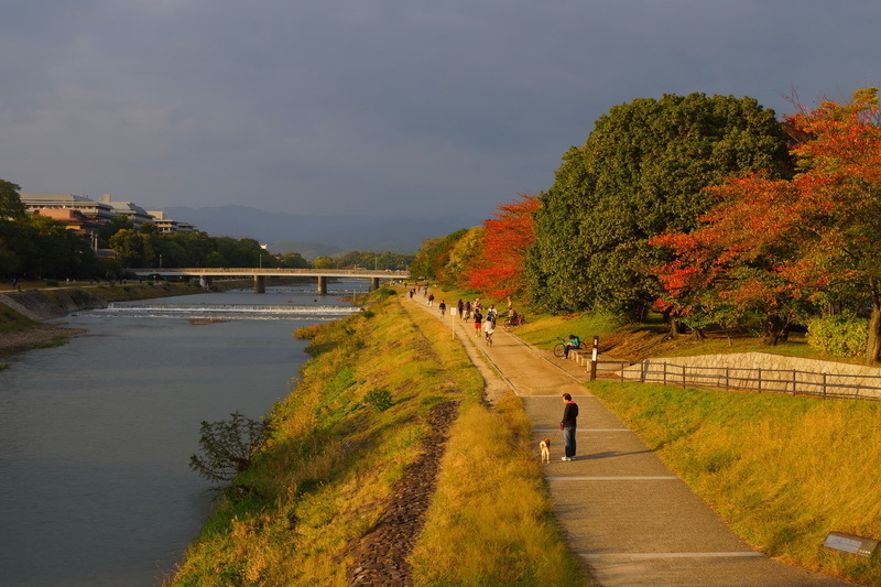 Набережная реки Комо в Киото