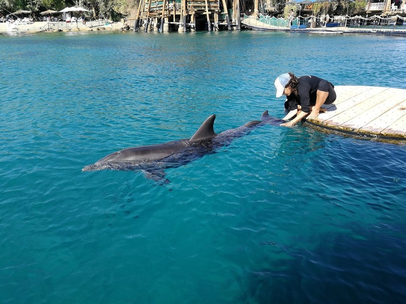 Дельфиний риф в Эйлате, октябрь 2018