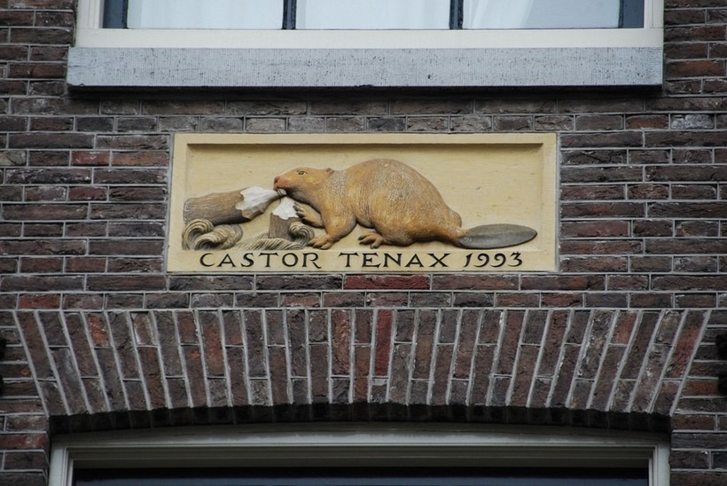 Бобер, мясник и винных дел мастер: как в Амстердаме раньше нумеровали дома