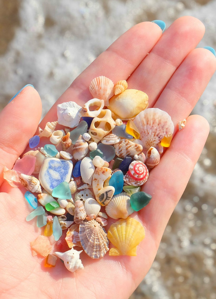 12 самых удивительных вещей, которые девушка нашла на морском побережье 