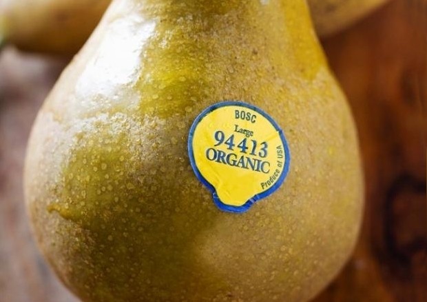 ГМО, агрохимия или полезный продукт: что означают цифры на фруктовых наклейках