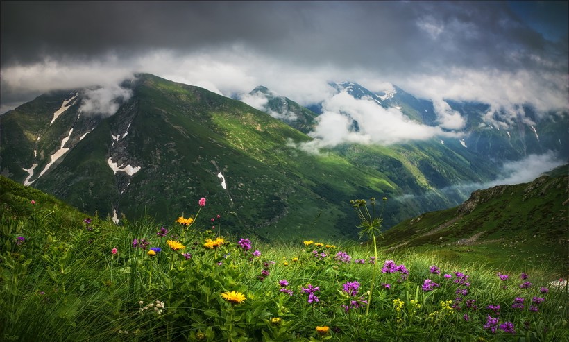 На Кавказе есть альпийские луга 