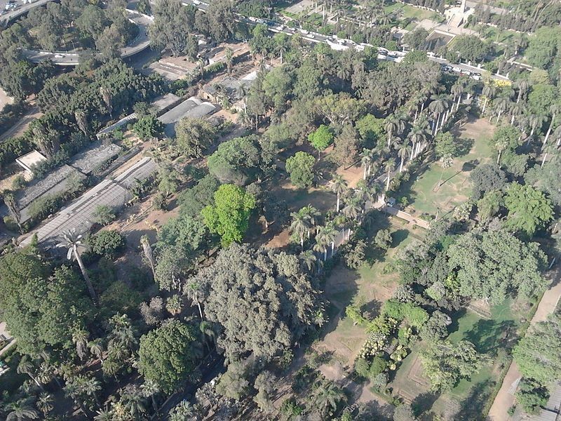 Ботанический сад в районе Замалек