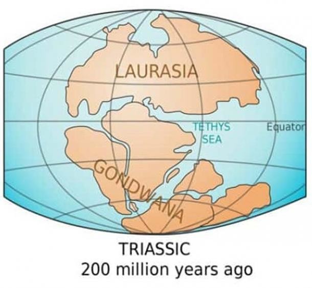 Континенты Лавразия и Гондвана 200 миллионов лет назад