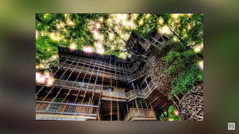 Видео: Мужчина построил на дереве 10-этажный дом на 80-комнат со спортплощадкой