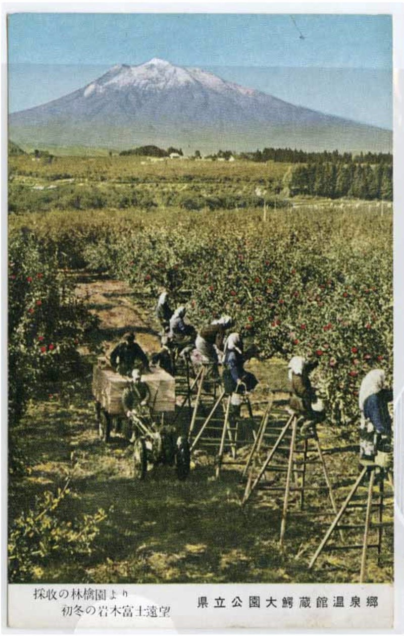 Яблочный сад провинции Аомори