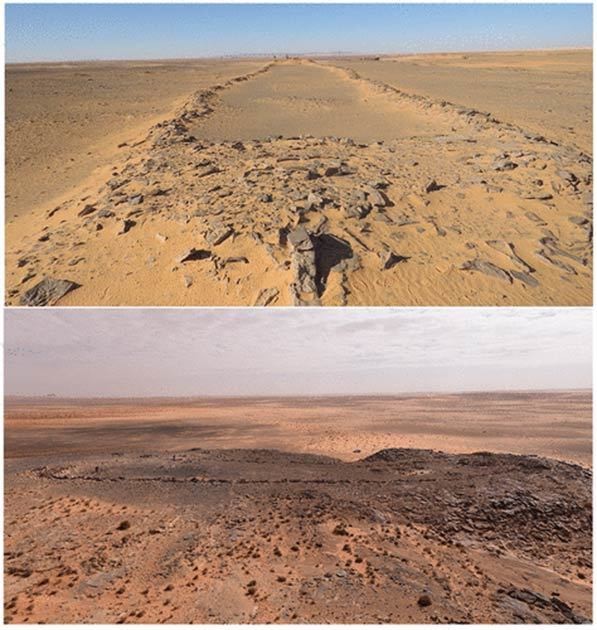 Два мустатила в пустыне Нифуд
