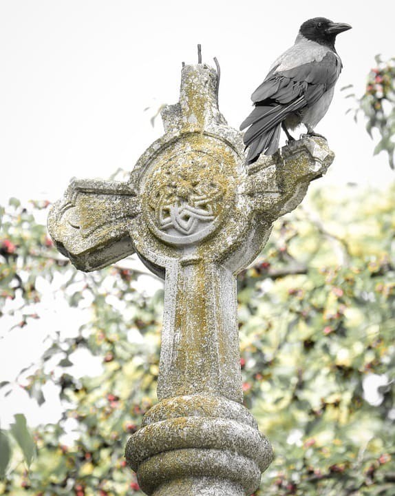 Ворон сидит на могильном кресте