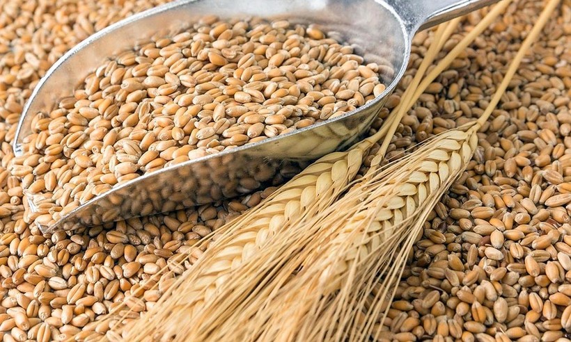 Блог - 10 самых важных продуктов в истории человечества 10 самых важных продуктов в истории человечества