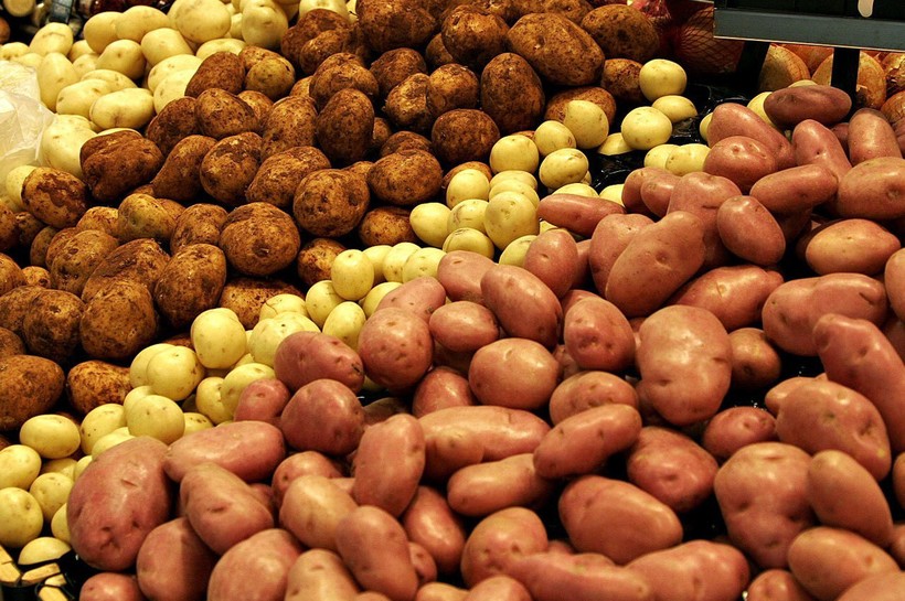 Блог - 10 самых важных продуктов в истории человечества 10 самых важных продуктов в истории человечества