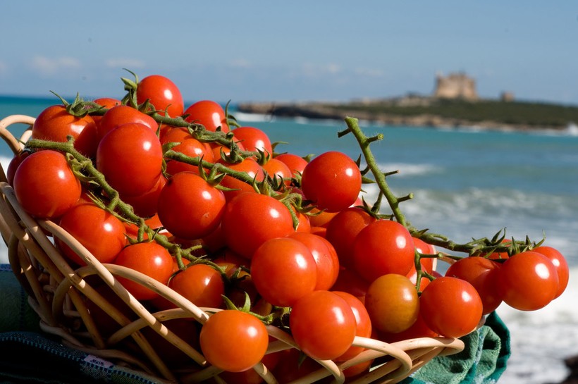 Блог - 10 самых важных продуктов в истории человечества 10 самых важных продуктов в истории человечества