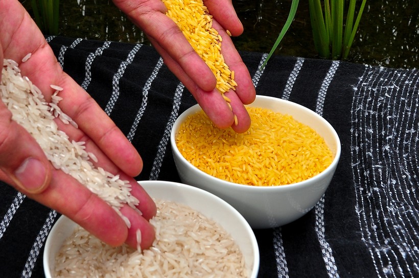 Блог - 10 самых важных продуктов в истории человечества 10 самых важных продуктов в истории человечества