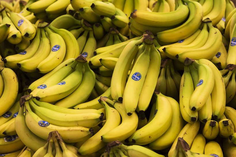 Блог - 10 самых важных продуктов в истории человечества 10 самых важных продуктов в истории человечества