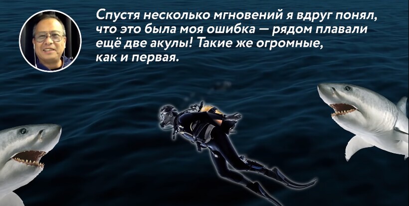 Блог - Видео: Самые захватывающие случаи, когда дайвинг с акулами пошел не по плану Видео: Самые захватывающие случаи, когда дайвинг с акулами пошел не по плану