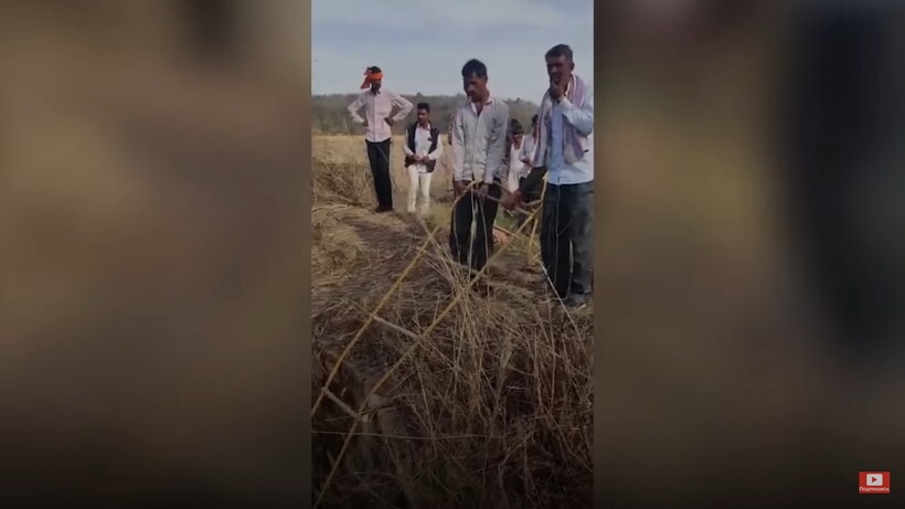Блог - Видео: Как спасли леопарда с помощью индийской кровати Видео: Как спасли леопарда с помощью индийской кровати