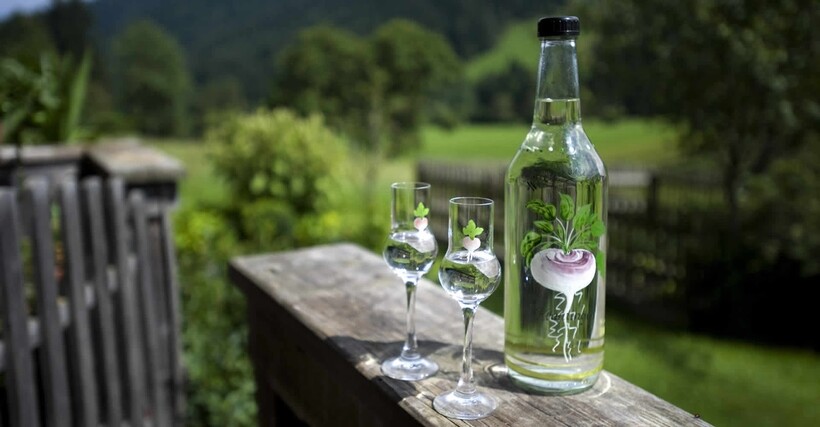 Шнапс (немецкий, австрийский) - что это за напиток, как пить, рецепт