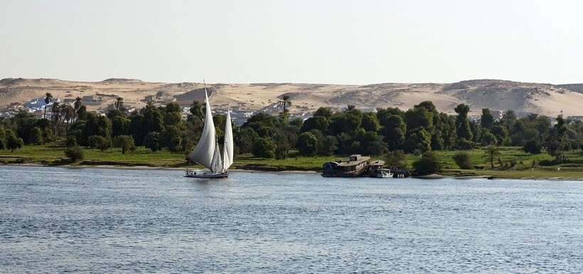Богатая растительность Нила