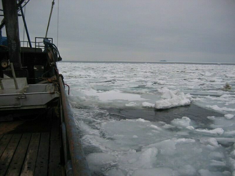 Замерзшее Берингово море