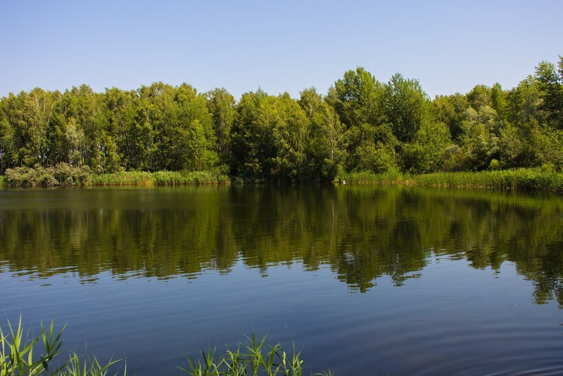 Озеро в Беларуси