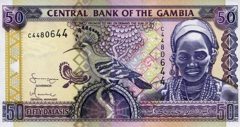 Удод — символ Гамбии
