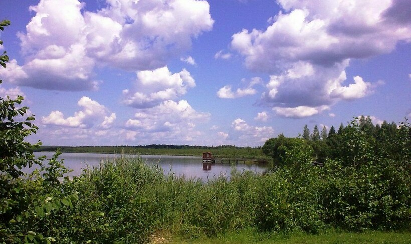 Водно-болотные угодья Беларуси