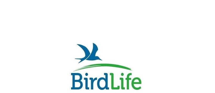 Организация BirdLife
